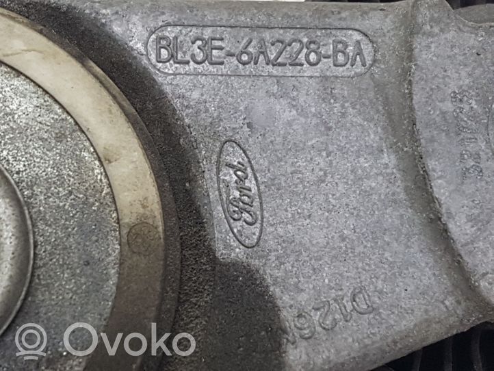 Ford F150 Napinacz paska klimatyzacji BL3E6A228