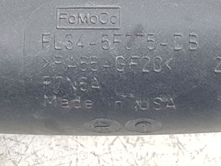 Ford F150 Ilmanoton letku FL346F075