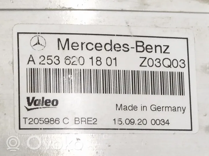 Mercedes-Benz GLC X253 C253 Staffa del pannello di supporto del radiatore A2536201801