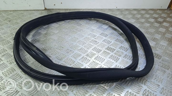 Mercedes-Benz C AMG W204 Front door rubber seal A2046971051