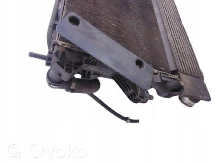 Citroen Jumper Chłodnica powietrza doładowującego / Intercooler 1342584080