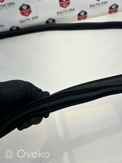 BMW 4 F32 F33 Priekinė sandarinimo guma ant kėbulo 7279741