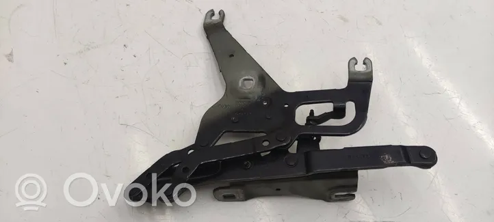 BMW X5 F15 Cerniere del vano motore/cofano 7294529