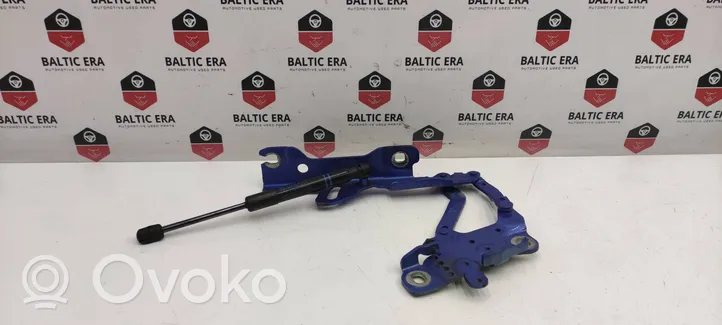 BMW 4 F36 Gran coupe Engine bonnet/hood hinges 7336700