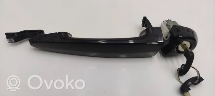 BMW 1 F20 F21 Maniglia esterna per portiera anteriore 