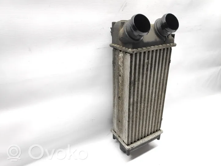 Peugeot 307 Radiatore intercooler 