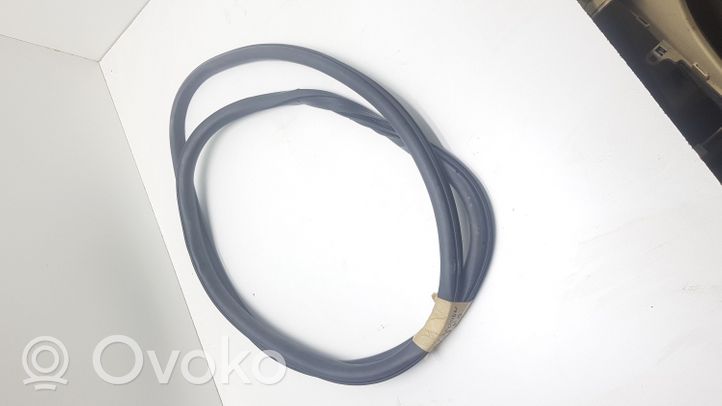 Ford Fusion II Front door rubber seal 