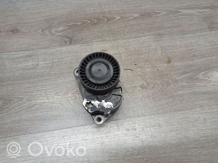 Volvo XC70 Napinacz paska wielorowkowego / Alternatora 