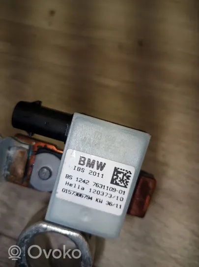 BMW 1 F20 F21 Cable negativo de tierra (batería) 7631109