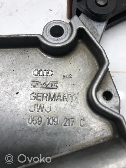 Audi A6 S6 C6 4F Grandinės šliaužiklis (variklio) 059109217C