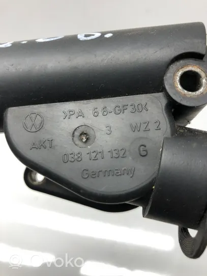 Volkswagen PASSAT B6 Termostato/alloggiamento del termostato 038121132