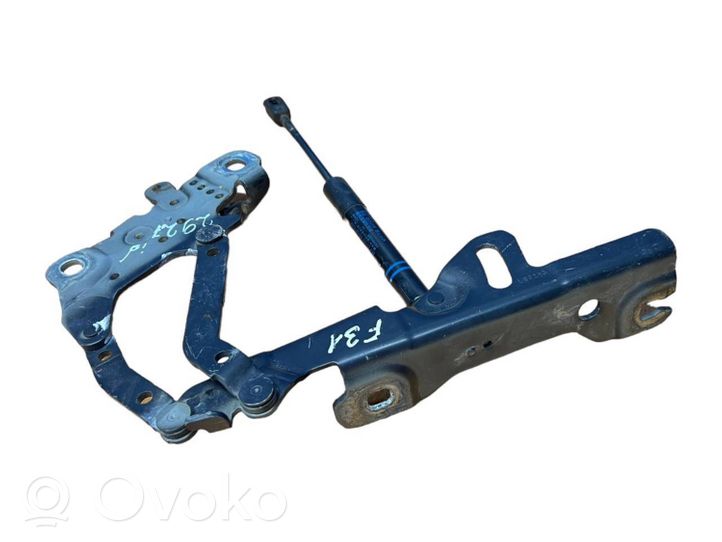 BMW 3 F30 F35 F31 Cerniere del vano motore/cofano 7336699