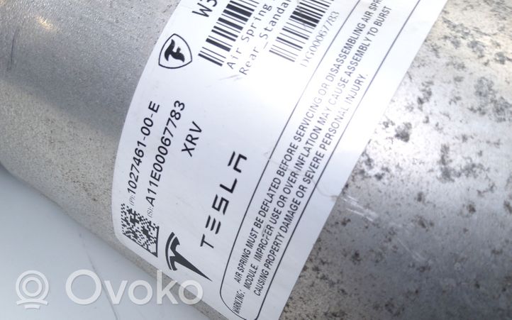 Tesla Model X Takaiskunvaimennin 102746100E