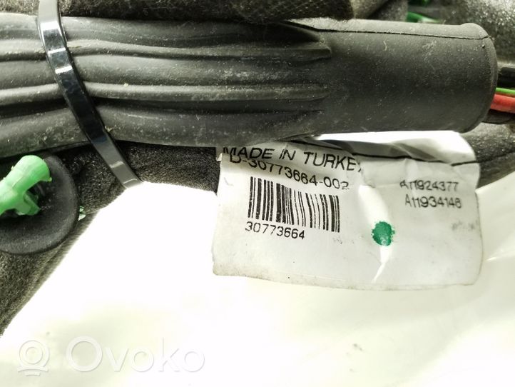 Volvo S80 Front door wiring loom 30773664002