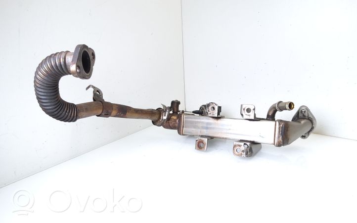 Nissan Qashqai EGR-venttiili/lauhdutin 8200719993A