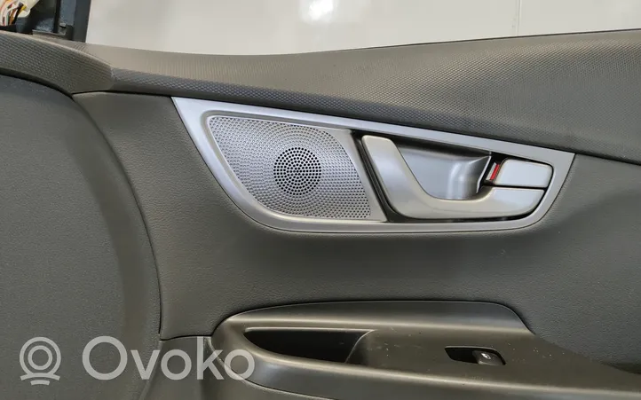 Hyundai Kona I Priekinės durys 