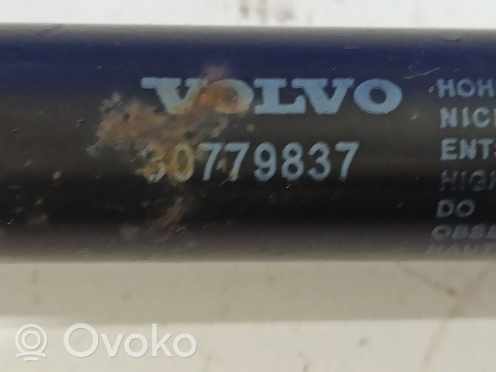 Volvo S80 Molla di tensione del portellone posteriore/bagagliaio 30779837