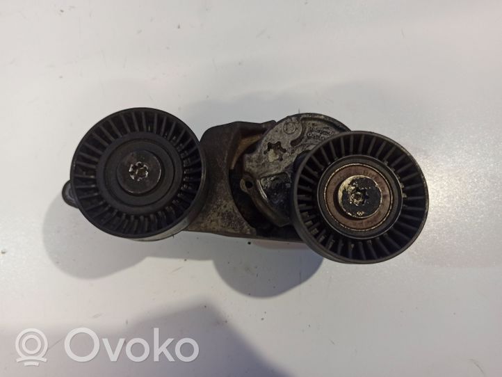 Volvo XC90 Napinacz paska alternatora 31251251