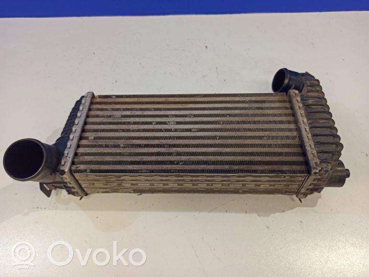 Ford Connect Interkūlerio radiatorius INTERCOOLERRADIATOR