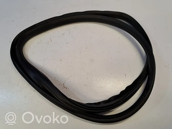 Volvo S60 Rubber seal front coupe door 31424017