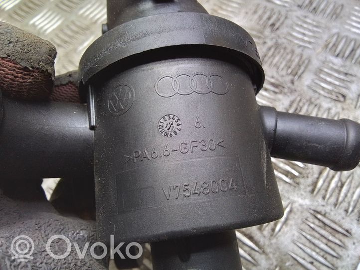Volkswagen Tiguan Termostatas/ termostato korpusas V7548004