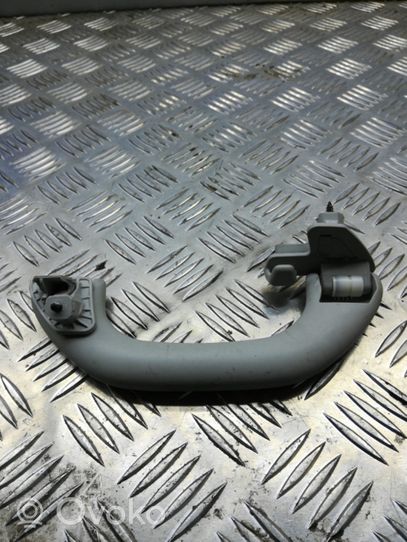 Volkswagen Tiguan Rear interior roof grab handle 1K0857607