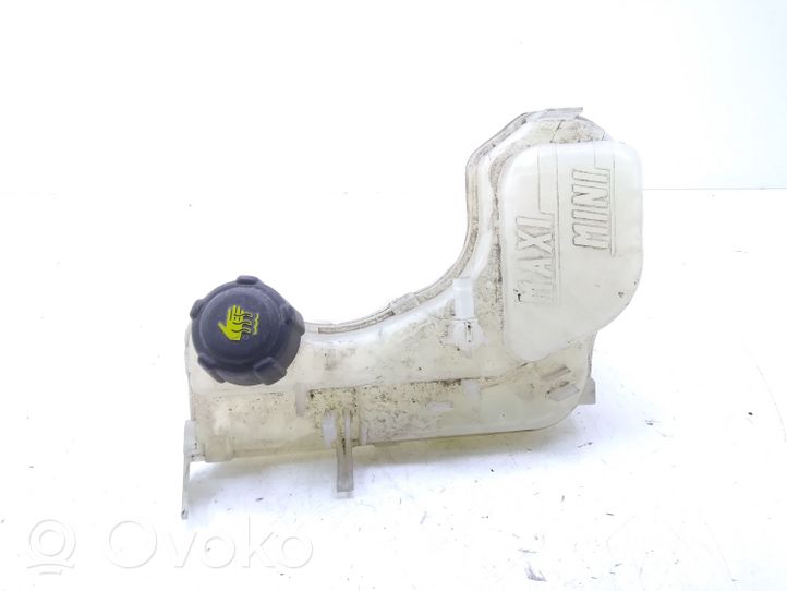 Renault Latitude (L70) Serbatoio di compensazione del liquido refrigerante/vaschetta 217100014R