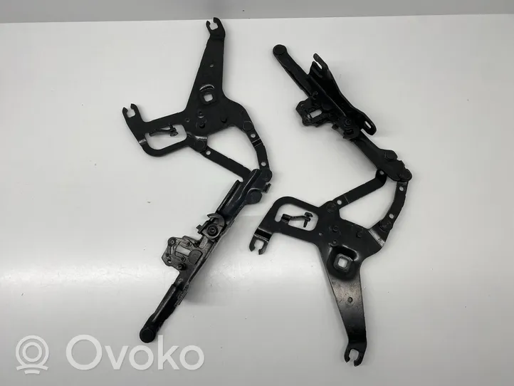 BMW X5 F15 Cerniere del vano motore/cofano 7294529