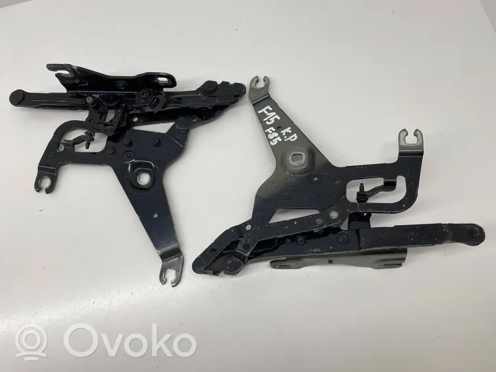 BMW X5 F15 Cerniere del vano motore/cofano 7294529