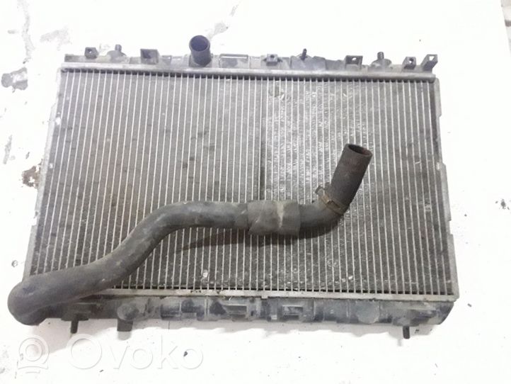 Hyundai Elantra Radiatore di raffreddamento 253102D400