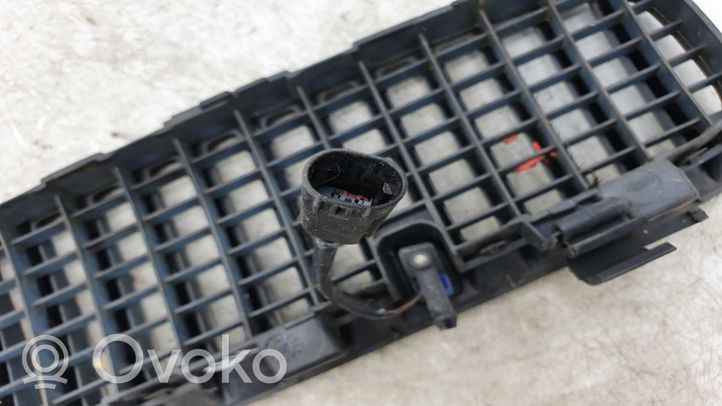 BMW X5 E53 Grille calandre de capot 51137124822