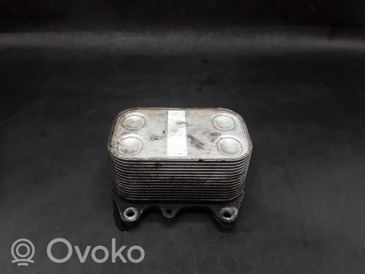 Skoda Superb B6 (3T) Supporto di montaggio del filtro dell’olio 