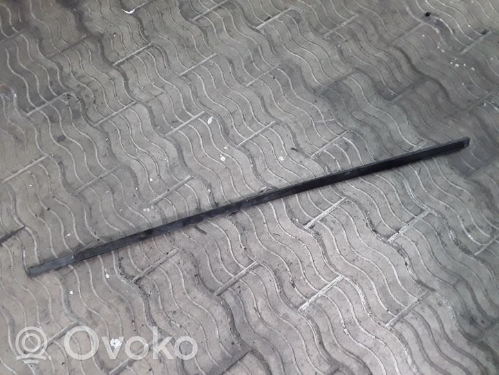 Volvo S60 Front door glass trim molding 