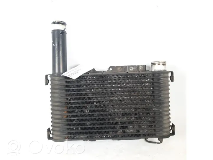 Mitsubishi Pajero Chłodnica powietrza doładowującego / Intercooler MR239608