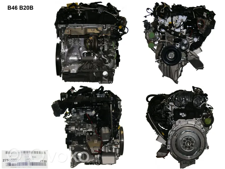 BMW X3 G01 Motor B46B20B