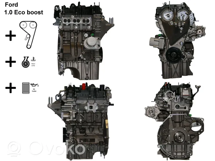 Ford Ecosport Engine YYJD