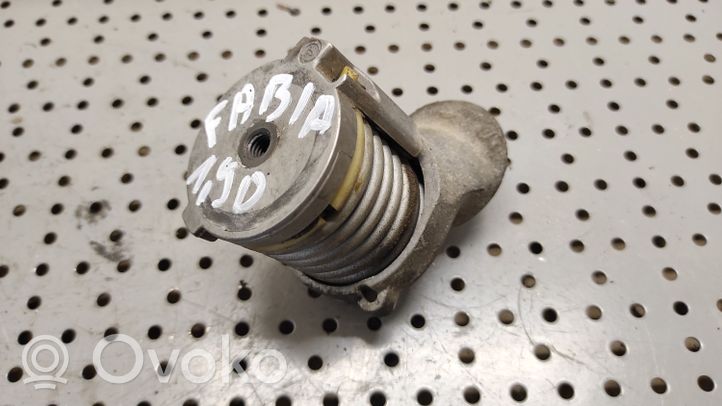 Skoda Fabia Mk1 (6Y) Napinacz paska alternatora 038903315