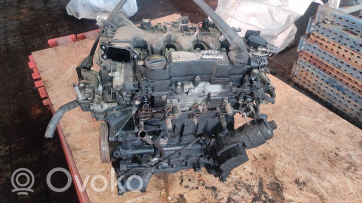 Ford Focus Engine 