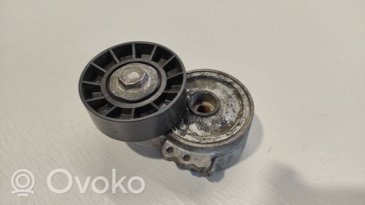 Volvo S40 Tendicinghia generatore/alternatore 505424