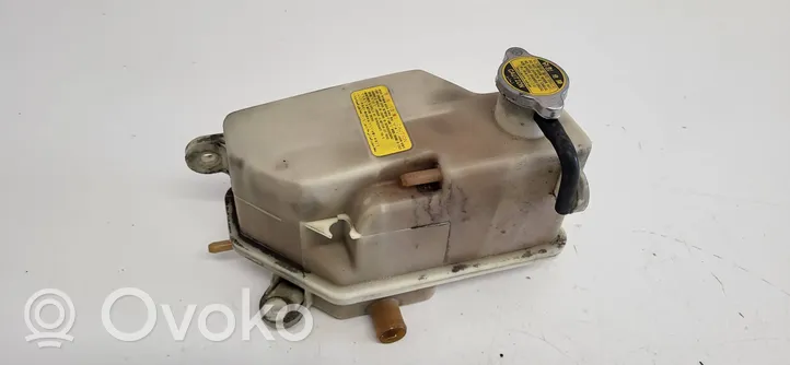 Hyundai Santa Fe Coolant expansion tank/reservoir 