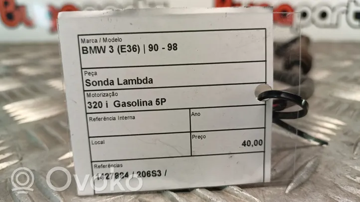 BMW 3 E36 Signalizacijos daviklis 