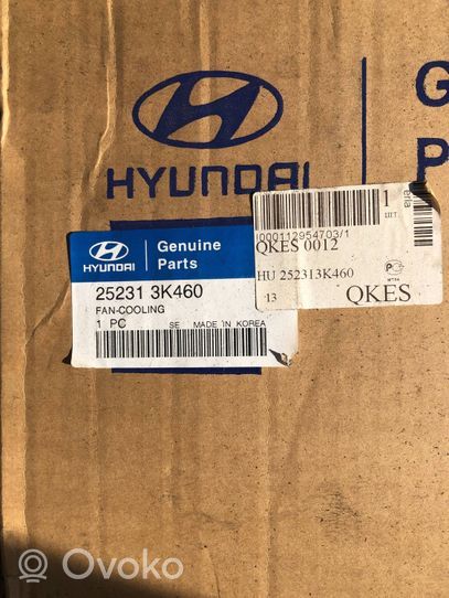 Hyundai Sonata Hélice moteur ventilateur 252313K460