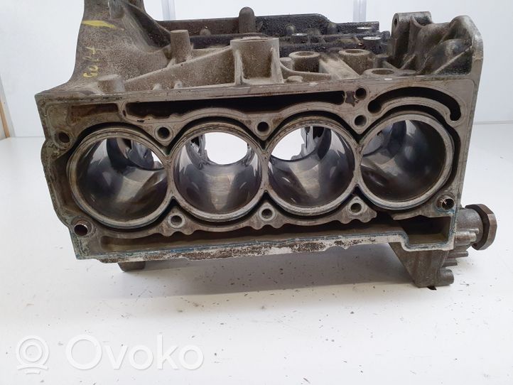 Volkswagen Golf V Blok silnika 03C103019