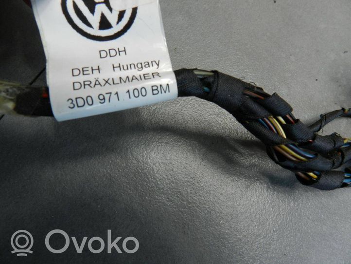 Volkswagen Phaeton Kiti laidai/ instaliacija 3D0971100BM