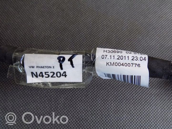 Volkswagen Phaeton Wiązka przewodów drzwi tylnych 3D0971694CS