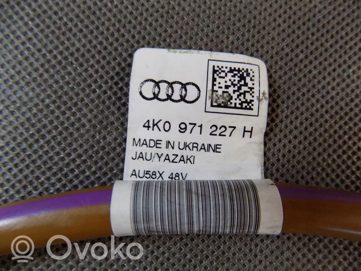 Audi A7 S7 4K8 Autres faisceaux de câbles 4K0971227H