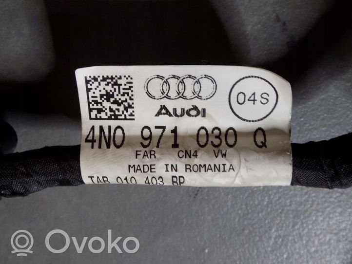 Audi A8 S8 D5 Wiązka przewodów drzwi przednich 4N0971030Q