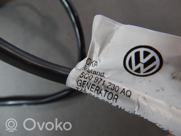 Volkswagen Golf VII Wires (generator/alternator) 5Q0971230AQ