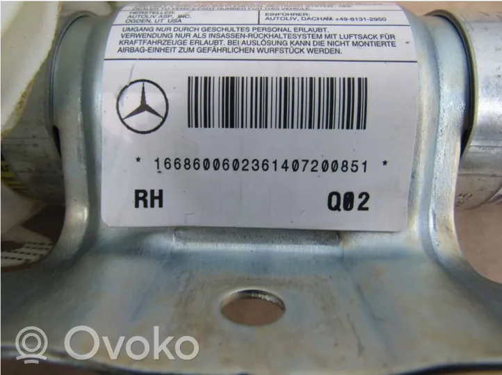 Mercedes-Benz GL X166 Stogo oro pagalvė (užuolaida) 1688600022