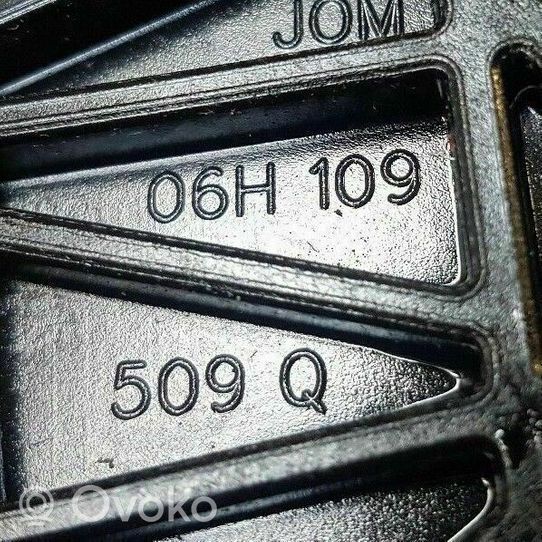 Audi A3 S3 8V Paskirstymo diržo/ grandinės įtempėjas 06H109509Q